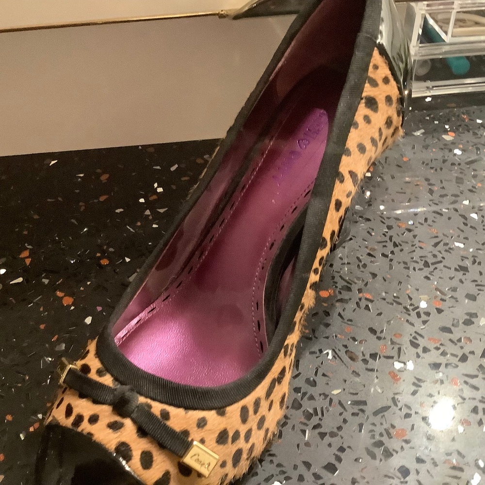 Coach shoes